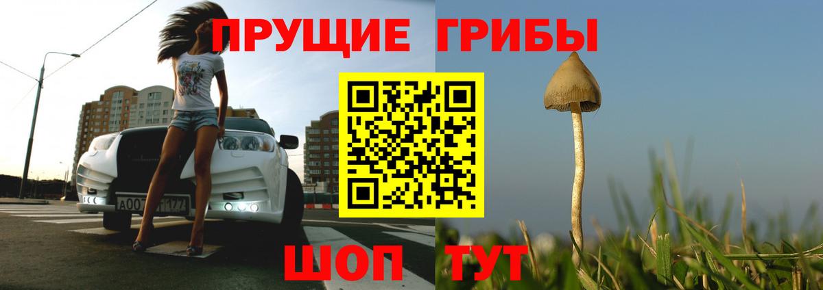 Галлюциногенные грибы мицелий  Вход с VPN  Псилоцибиновые грибы ЛСД  Мичуринск 